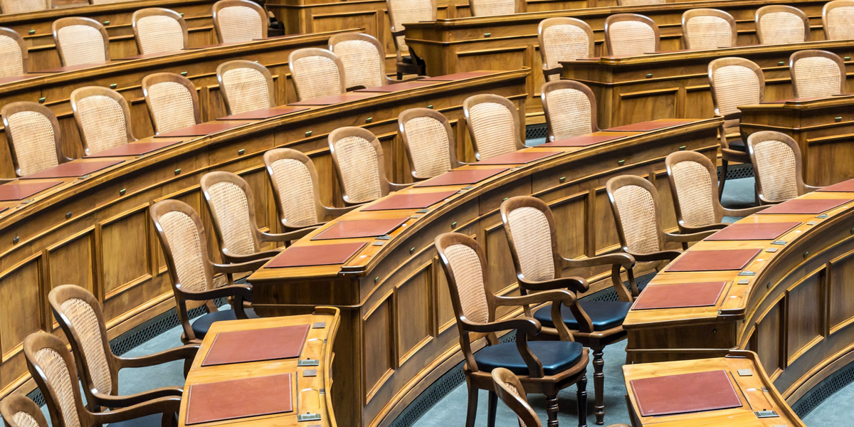 A democratic parliament representing public responsibility and oversight